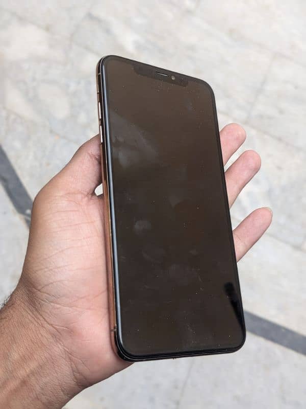 xs max 256 gb fu 3