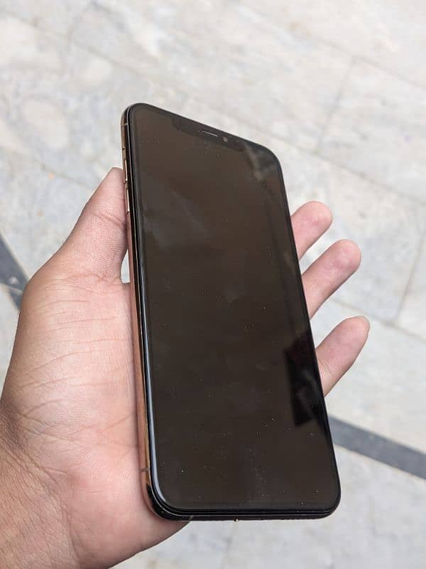 xs max 256 gb fu 4