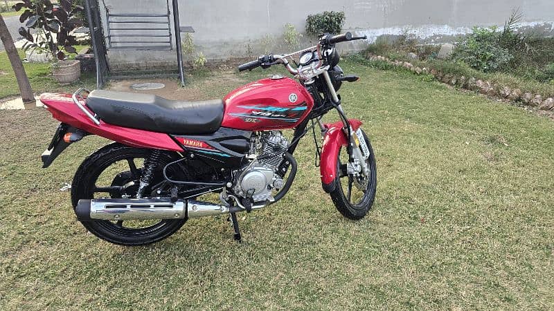 yamaha 125z DX 0