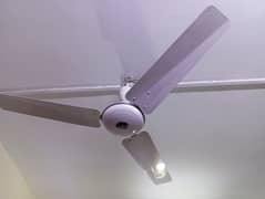 Ceiling Fans