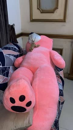 6 Feet Teddy (Soft) Limited Time Offer