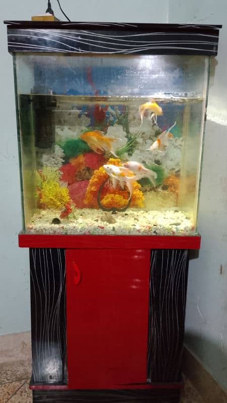 fish aquarium 2