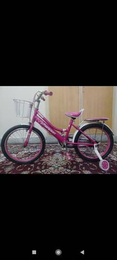 bicycle for girls from 6 to 12