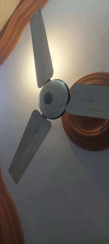 5 fans 0