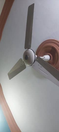 5 fans