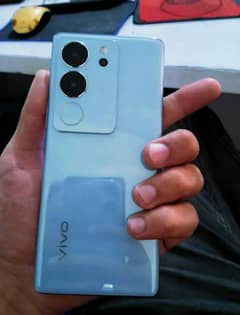 vivo