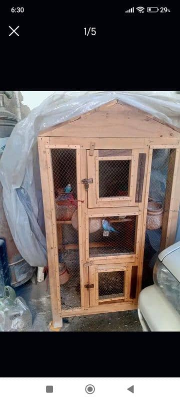 New wooden cage sale with beautiful parrots 1