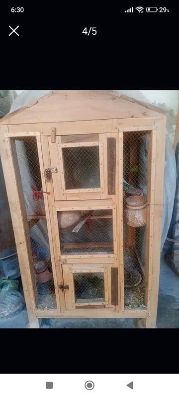 New wooden cage sale with beautiful parrots 3