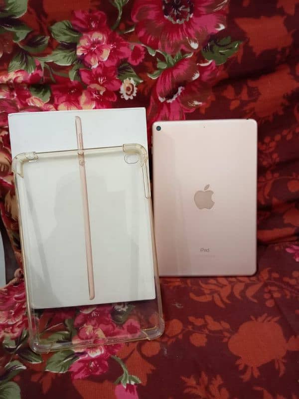 Apple Ipad mini 5 0