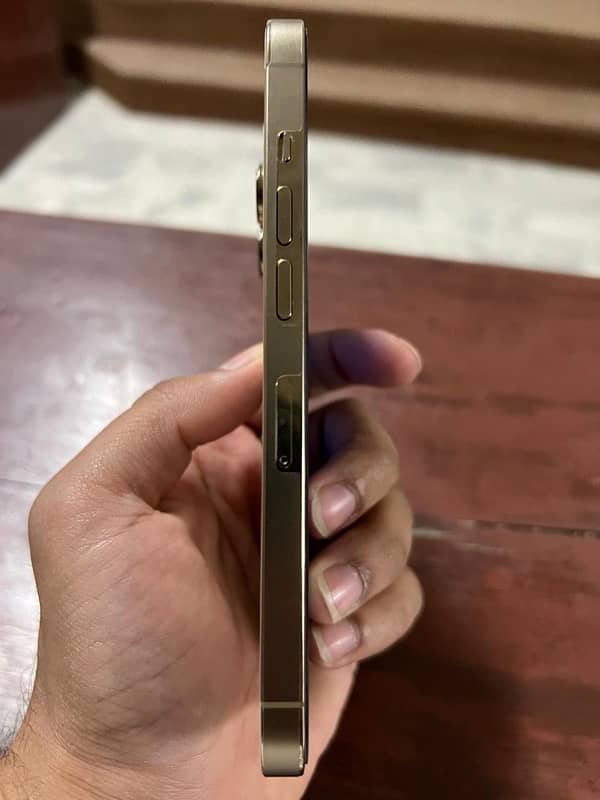 iphone 13 pro 256 gb 1