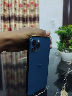 nice phone with excellent condition . iphone 12 pro