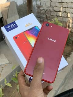 vivo