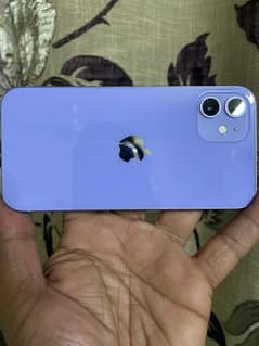 iPhone 12 256GB PTA Approved