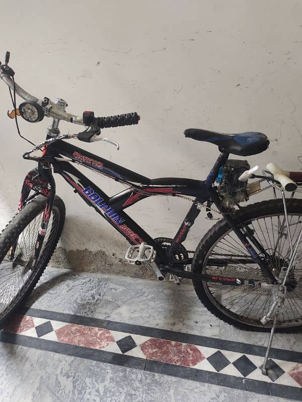 Dolohin bicycle for sale. . . . 0