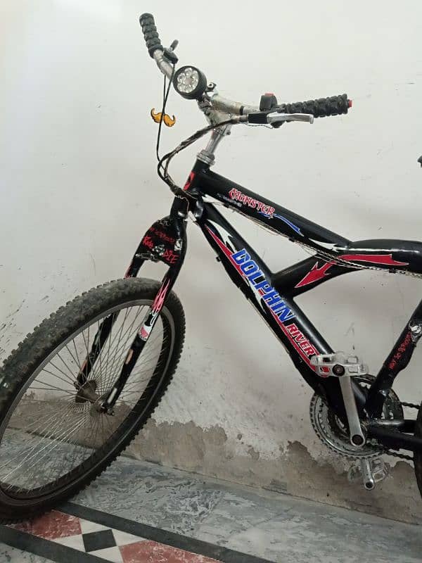 Dolohin bicycle for sale. . . . 2