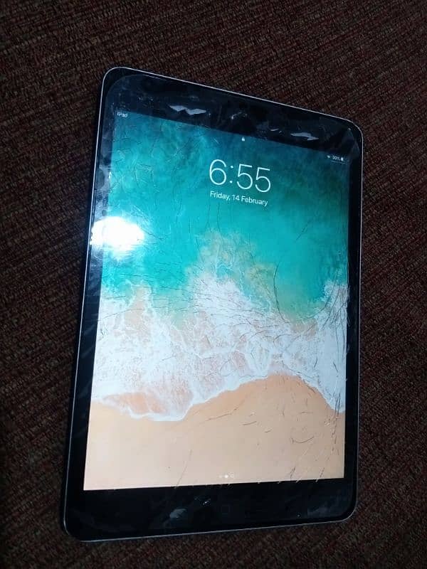 ipad mini 2 1