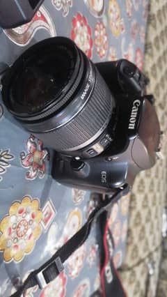 Canon D1000 10/10