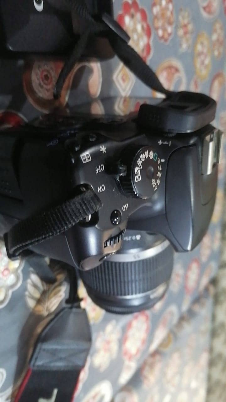 Canon D1000 10/10 4