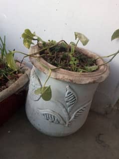 Clay pot w design in black and white