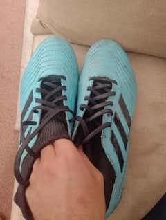 Adidas predator football game shose