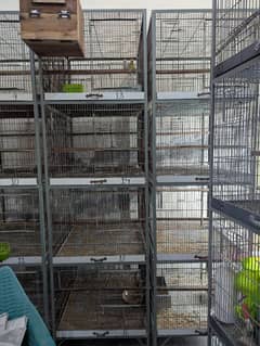 love bird iron cage Excellent condition