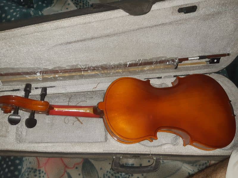 violin for sale 0