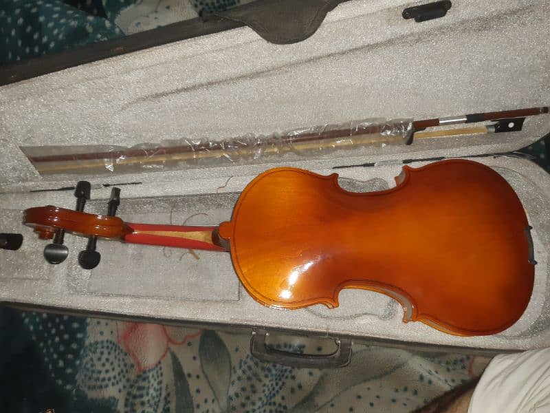 violin for sale 4