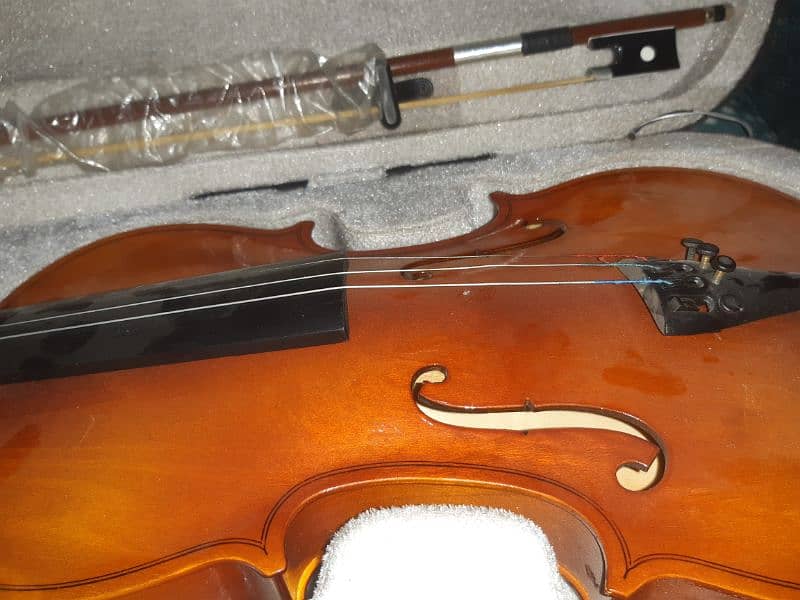 violin for sale 5