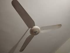 home used ceiling fan