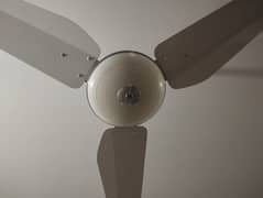 home used ceiling fan