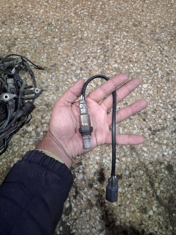 oxygen sensor 0