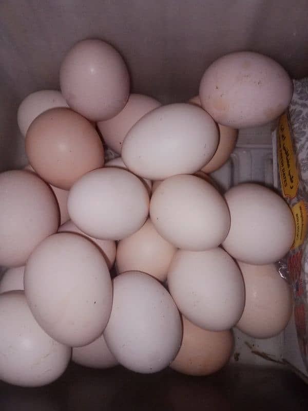 Desi Eggs 35Rs 0