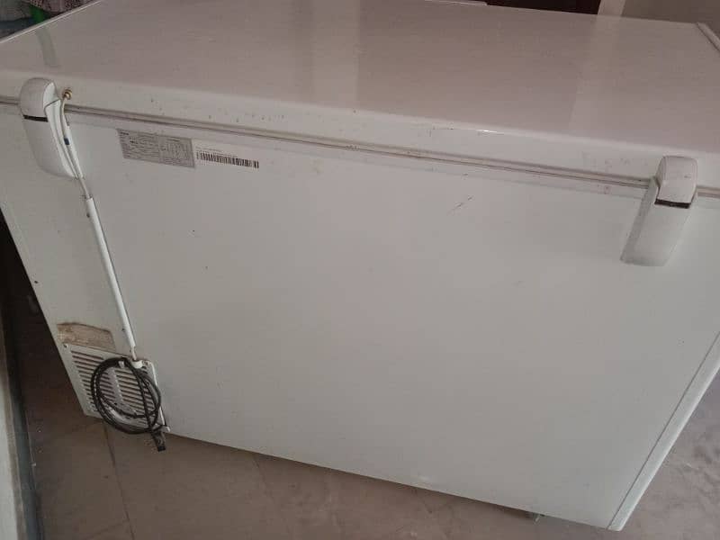 Freezer Single door 6