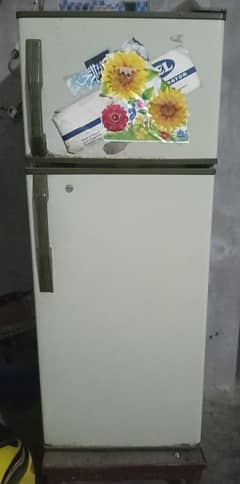 PLE| PEL fridge |