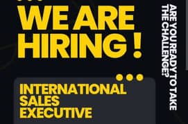 International Car Sales Executive