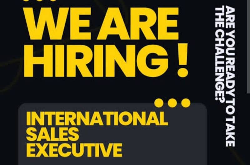 International Car Sales Executive 0