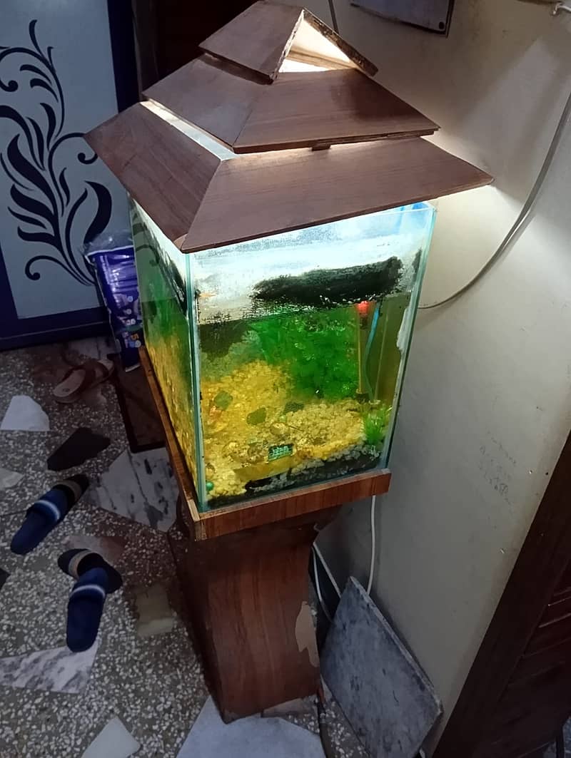 Aquarium for Sale 1