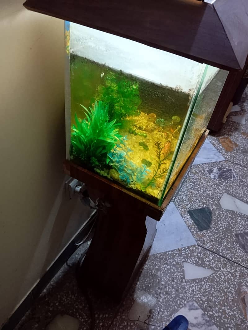 Aquarium for Sale 2