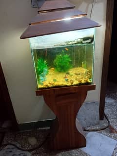 Aquarium for Sale