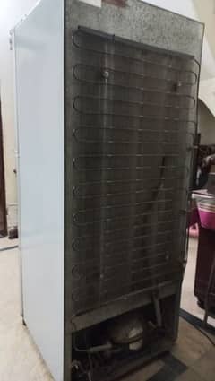 Haier Refrigerator