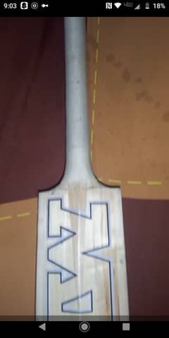 Top quality hard ball bat