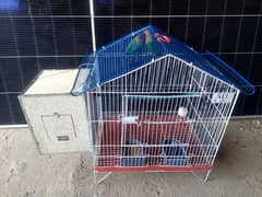 breeder pair with cage for sale