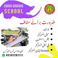 Driver instructor