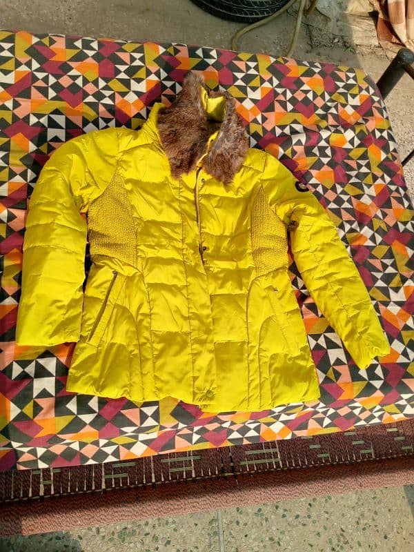 Bright Puffer Jacket with fur lined hoodie 1