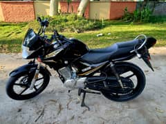 Yamaha YBR 125 2022