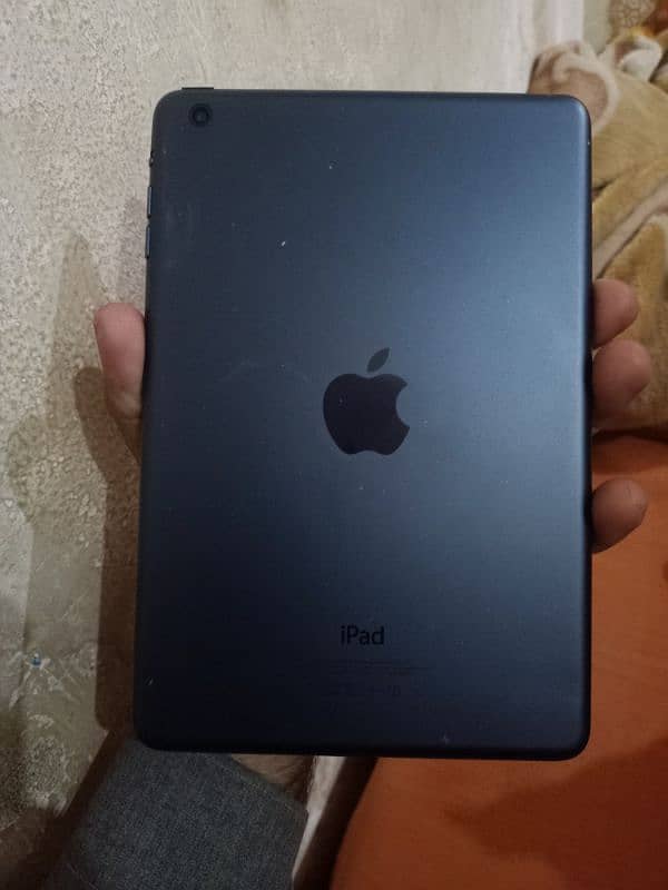 iPad mini 2 1