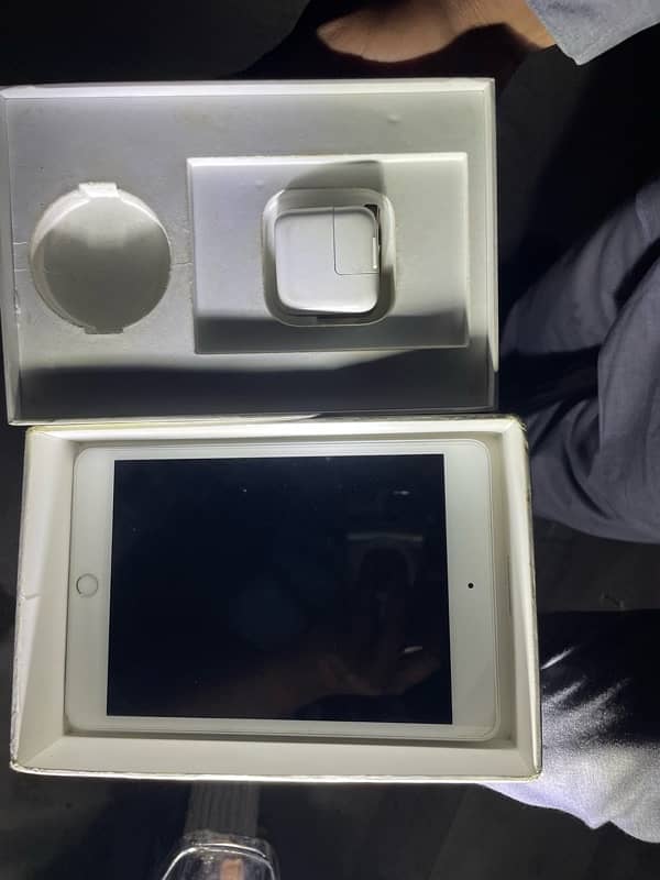 iPad mini 5 with box original adapter 4