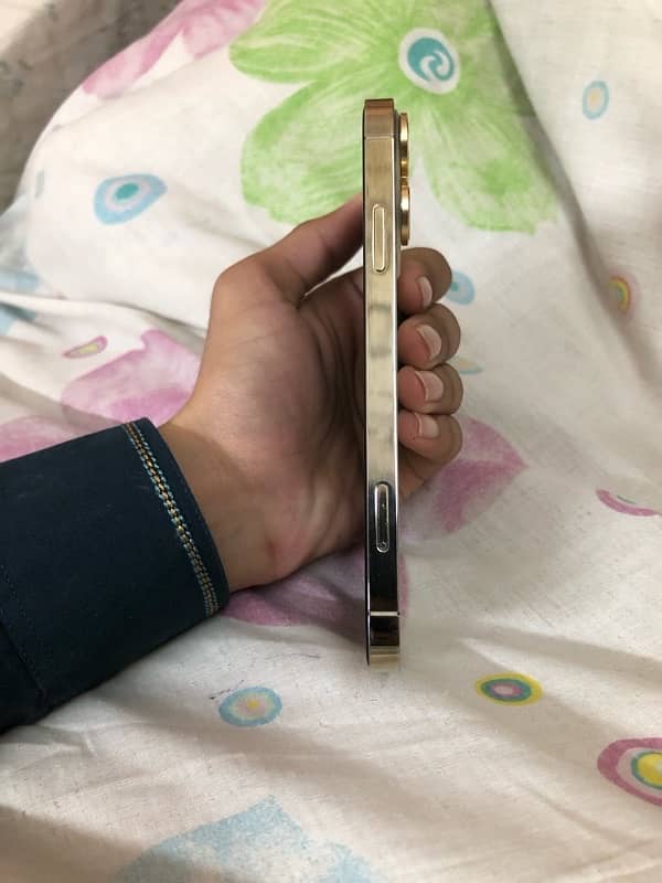 IPhone XR convert 13 Pro exchange possible 0