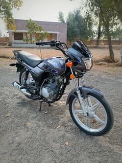 Suzuki gd110s