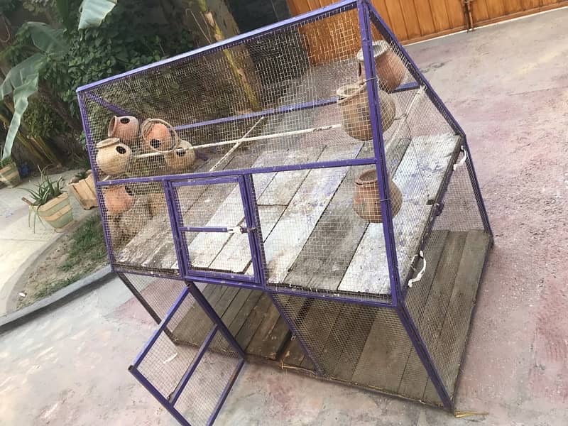 parrot and hen cage 0